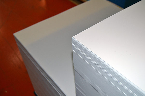 Types of finish 100% plastic