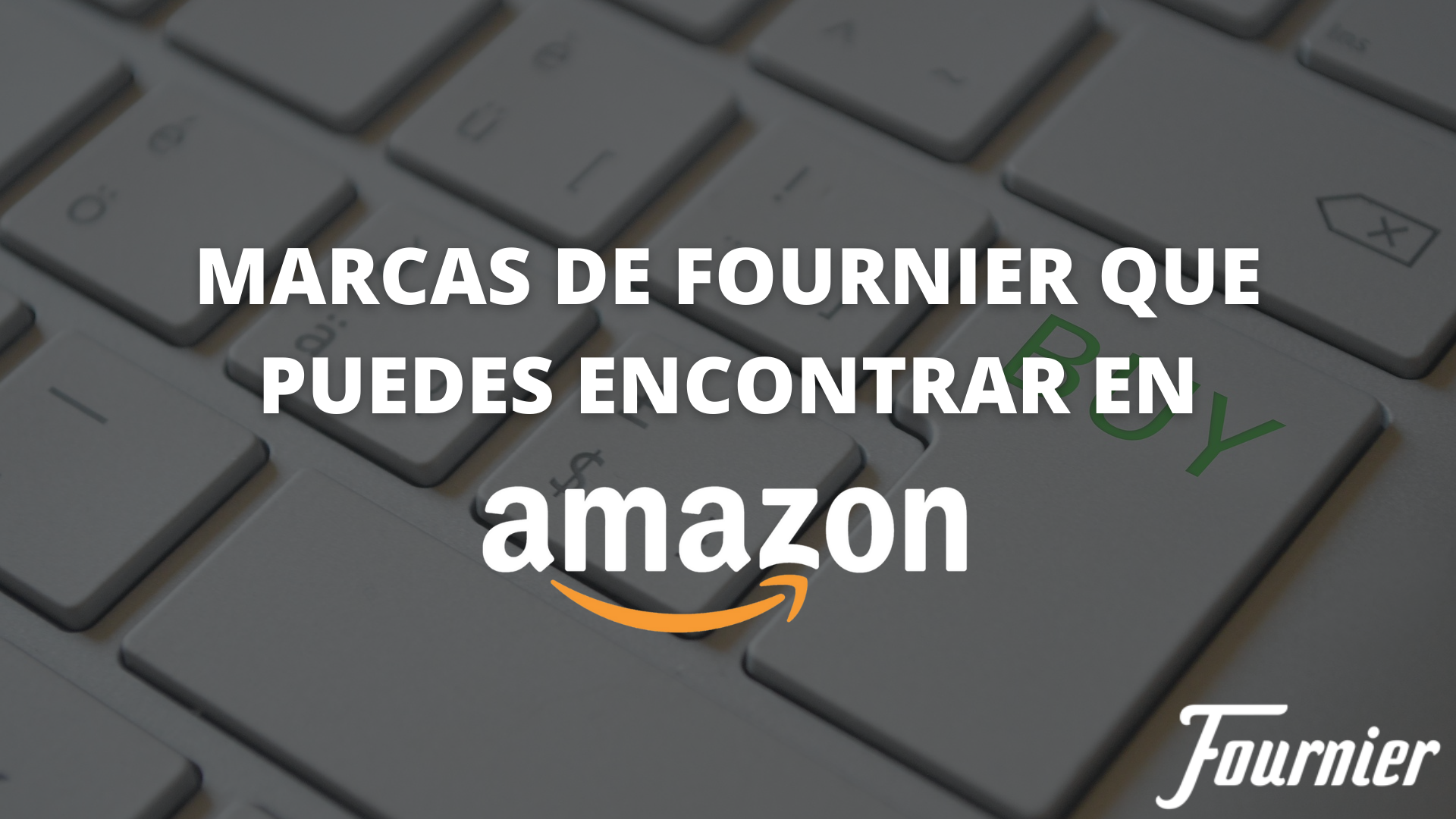 FOURNIER-AMAZON