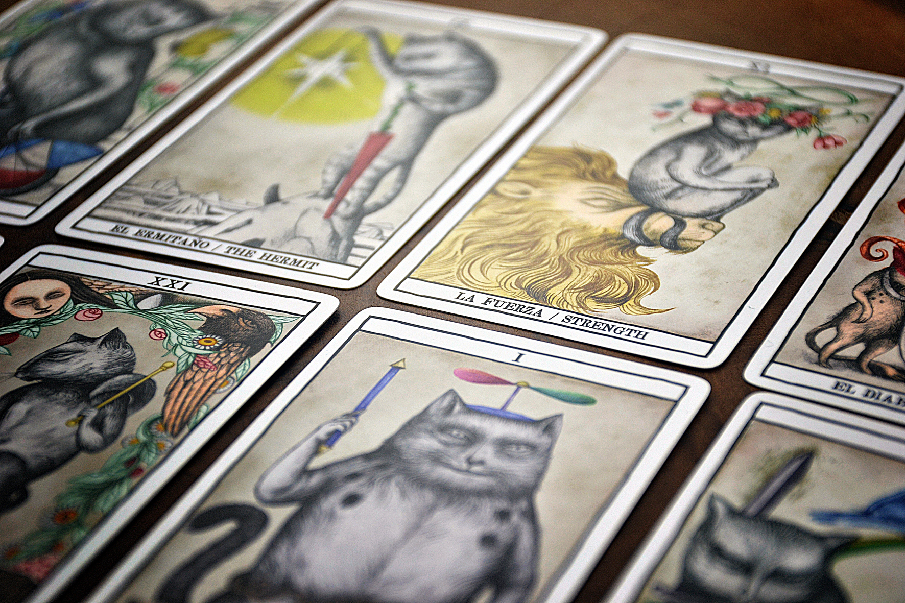 Cartas Baraja Tarot Cats Ana Juan Fournier Gatos Pintura – Rubik Cube Star