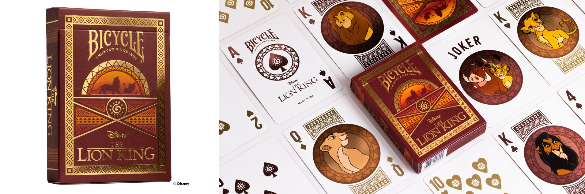 bicycle disney rey león